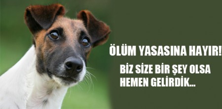 ÖLÜM YASASINA HAYIR! ONLAR SİZE BİR ŞEY OLSA HEMEN GELİRLERDİ...